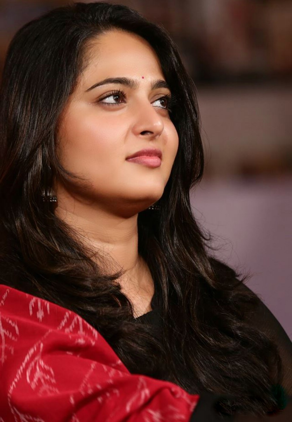 anushka-shetty-at-rudramadevi-promotion-195952