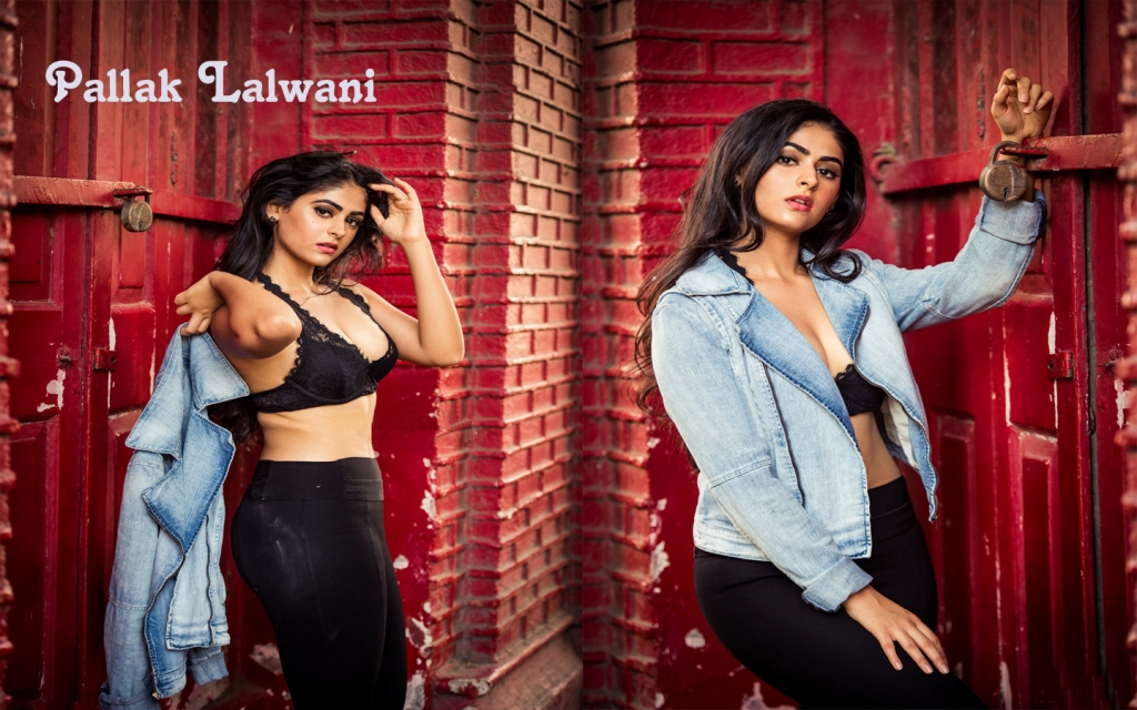 Palak Lalwani  Wallpapers