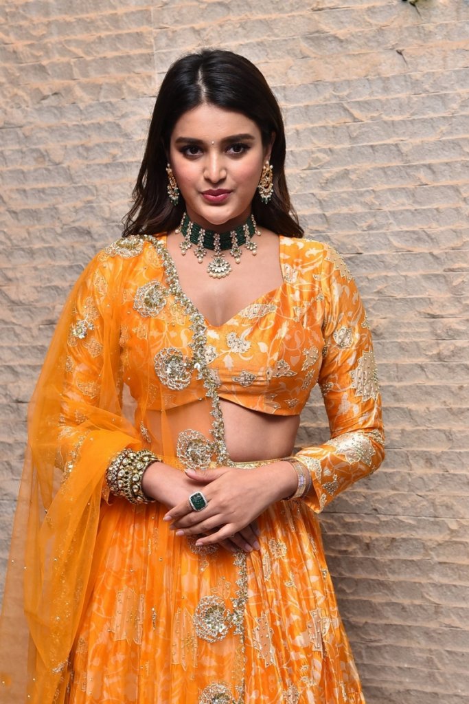 normal nidhhi-agerwal-photoshoot-jan202218