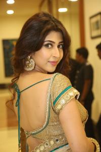 Sonarika Bhadoria